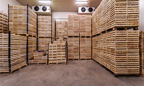 Cold Storage Lighting Considerations