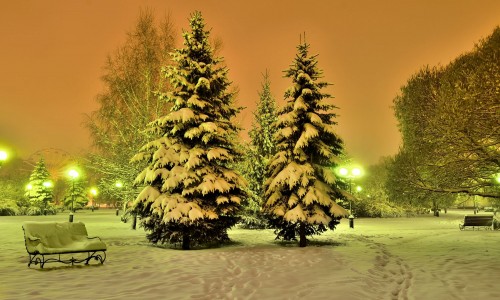 Do LED Lights Also Perform Perfect in Cold Weather?