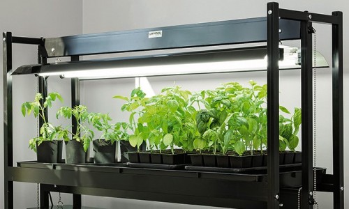 LED Grow Lights: Use in Greenhouses and Energy Efficiency